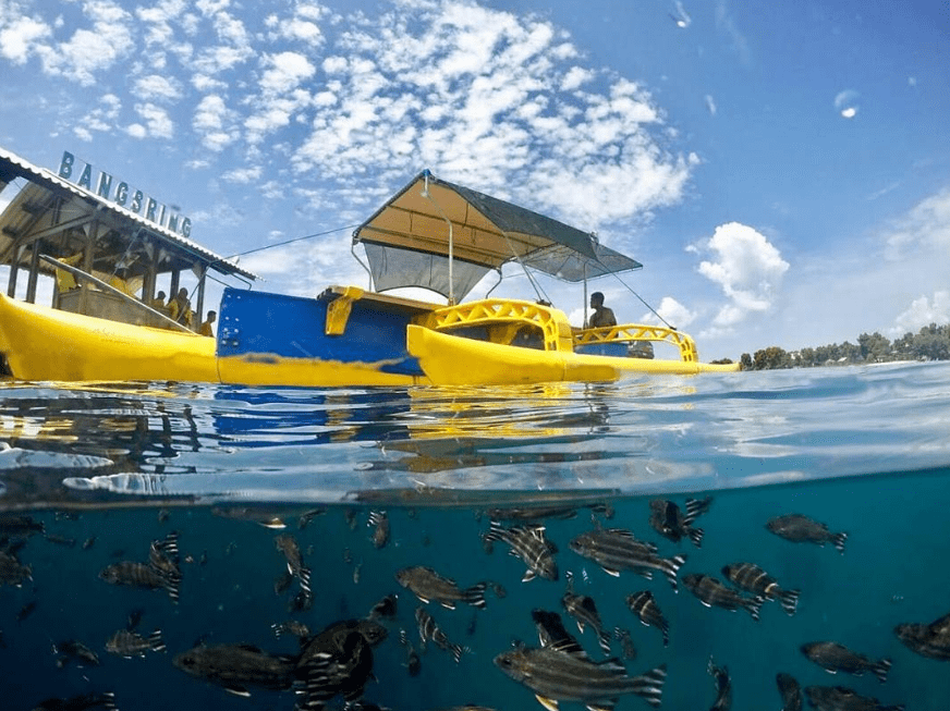 5 Tips Snorkeling di Bangsring Banyuwangi - Jejak Liburan