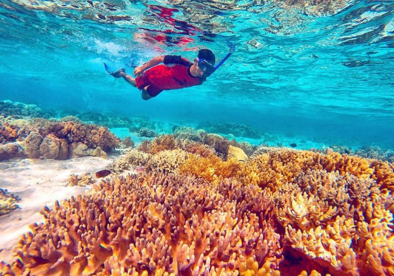  Indahnya  Wisata Bawah Laut  Menjangan Banyuwangi Jejak 